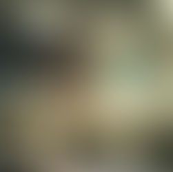 Baby seeing through a car window