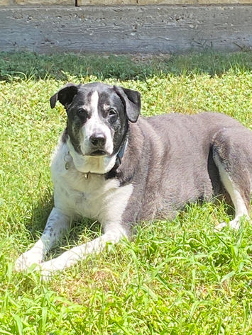 70940616308__AF68A37E-902A-4326-9880-22B9416D6DC7