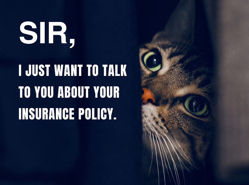 Safeguard Your Business: Essential Insurance for Australian Businesses