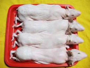 CARNE 1.jpg