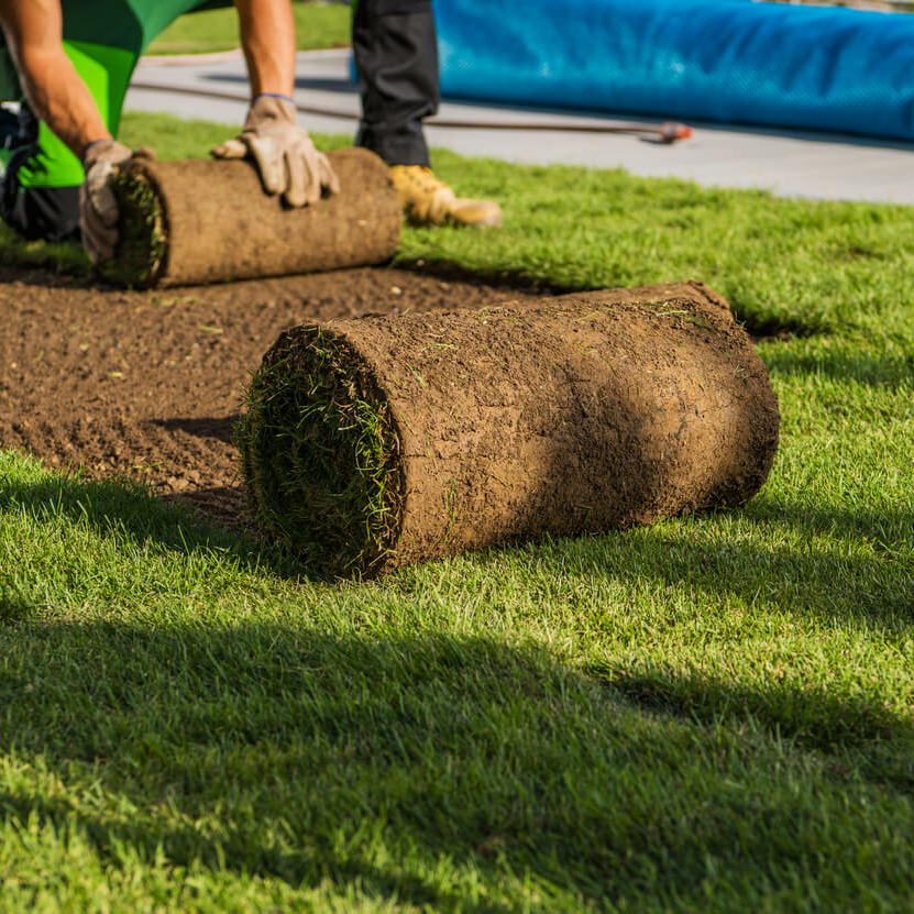 sod-installation_edited.jpg