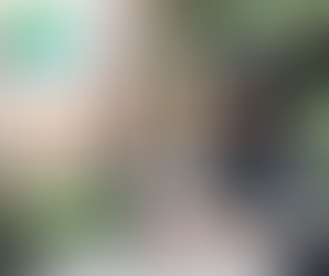 Research summary: Timing of Vocabulary Practice, Inter-brain Synchronization, and Collaborative Task Performance