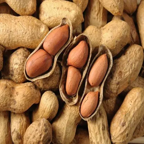 Thumbnail: Premium Kenyan Groundnuts