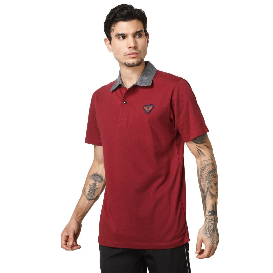 Stylish Polo tshirts for mens