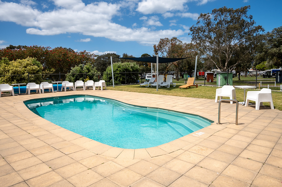 Swimming Pool Albany Holiday Park