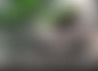 Top Terpenes Proven to Reduce Inflammation: A Detailed Overview