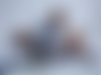 Reveling Peak of Offshoring Excellence: Offshoring Companies in the Philippines