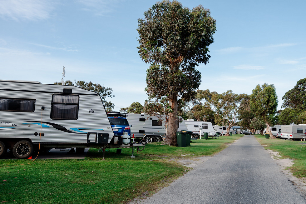 Albany Holiday Park Camping Sites