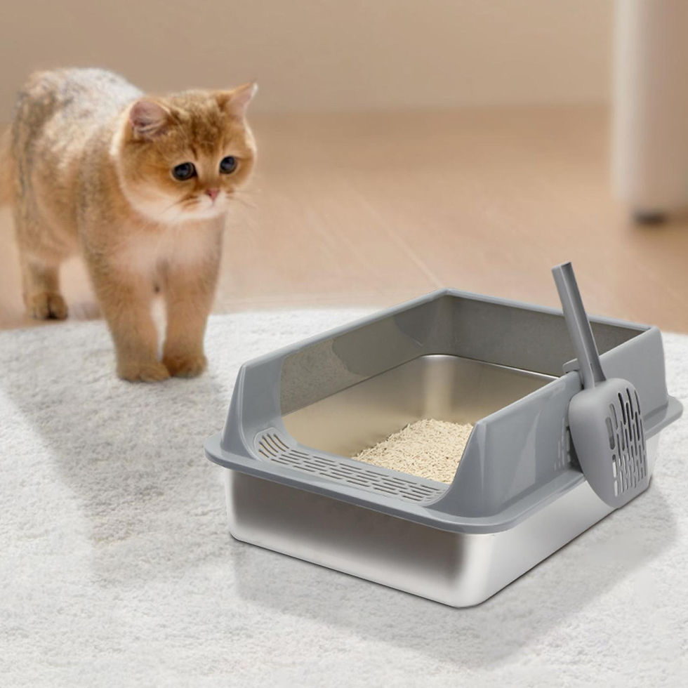 Thumbnail: How to Clean and Care for Your Cat Litter Tray