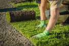 AdobeStock_314090345_edited.jpg