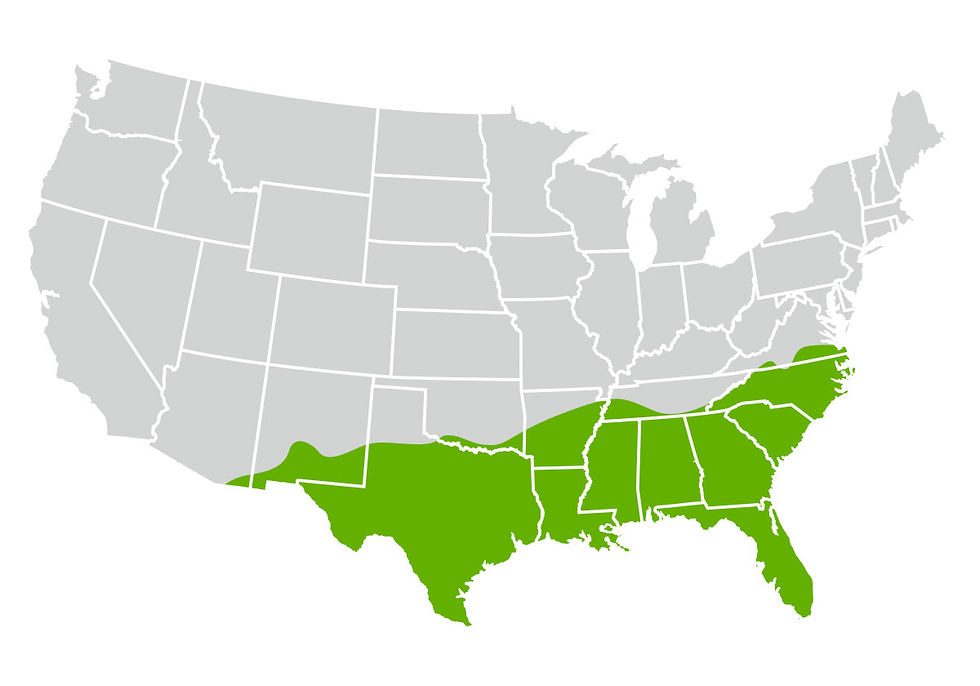 Map-Floratam.png