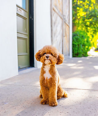 _DSC2980 (1)_edited.jpg