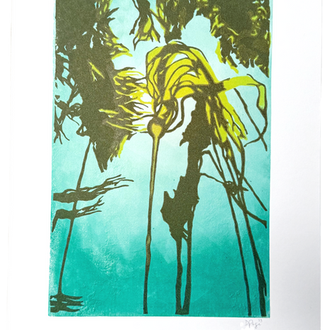 Green Kelp