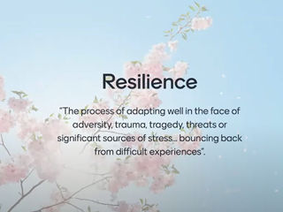 How to Develop a Resilience that Leads to Success