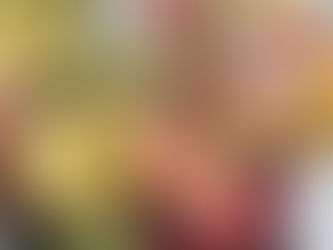 I make flowers for cake decorations. 