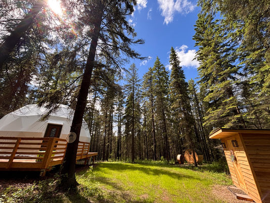 Experience Summer Glamping at Four Pine Valley