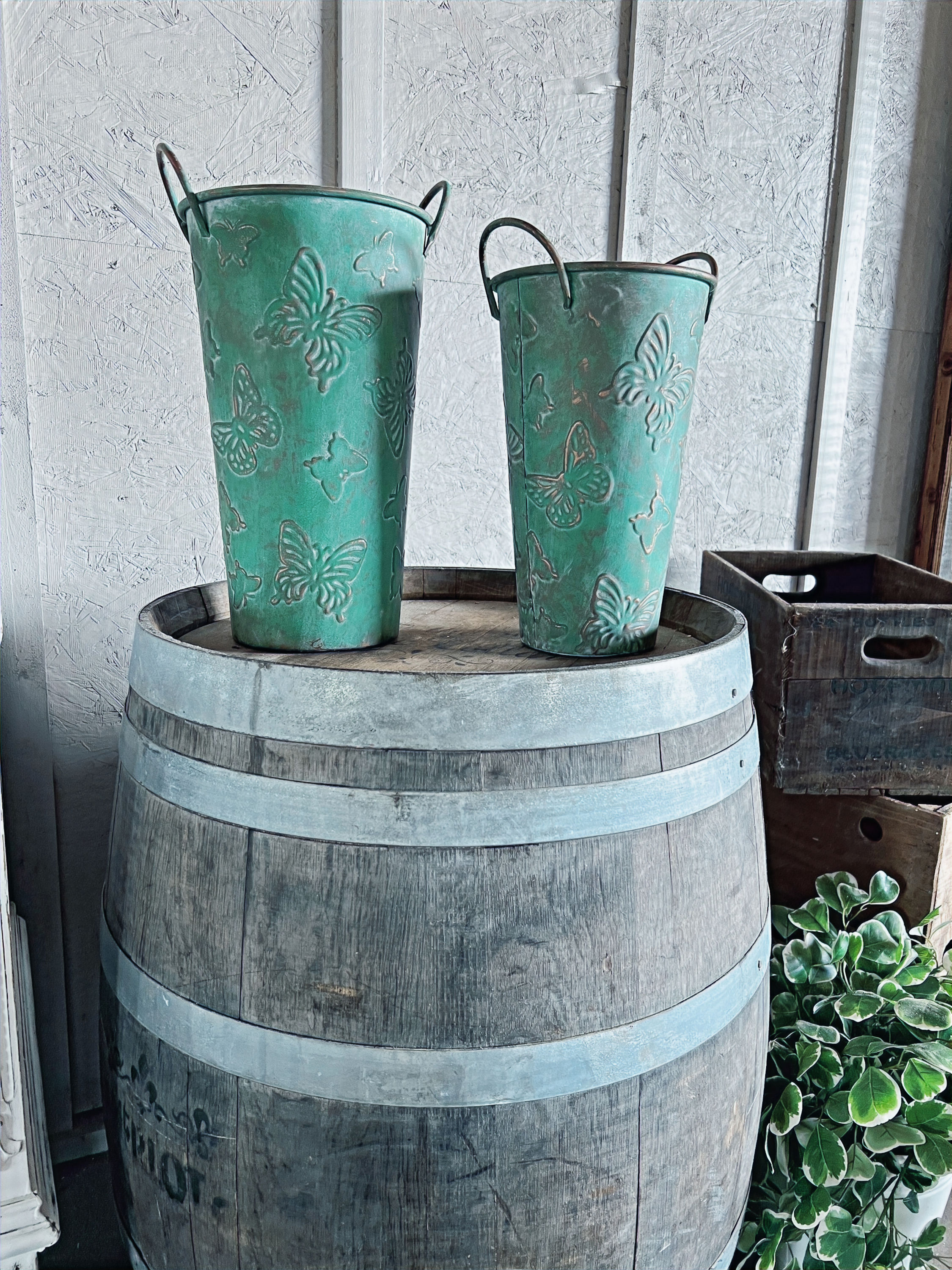 Decorative Flower Bucket Rental