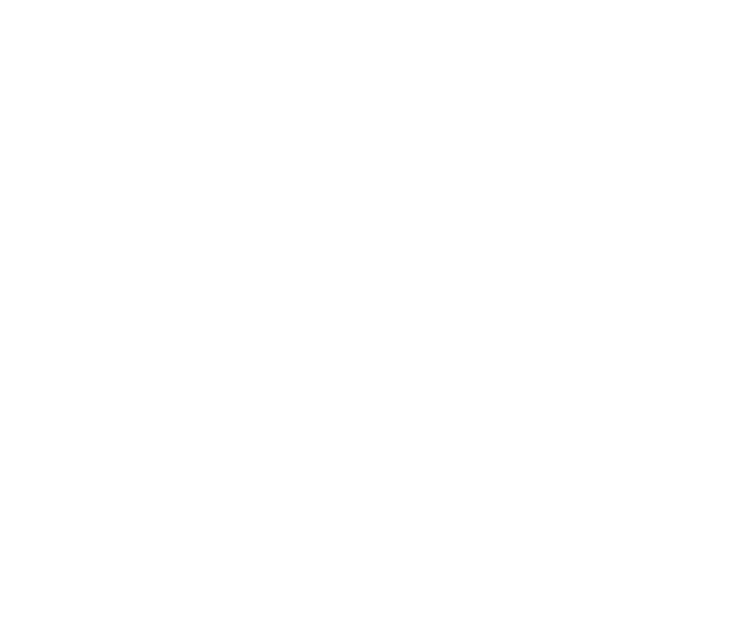 NP_Logo_2026_White.png