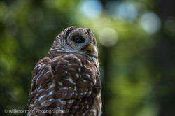 2017.08.06 callaway gardens-22