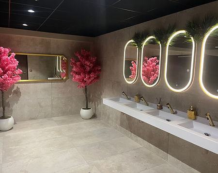 Sanitaires salle de Mariage, plan vasque en Blanc alpin, et récepteur sous sèche mains en KARSYL®