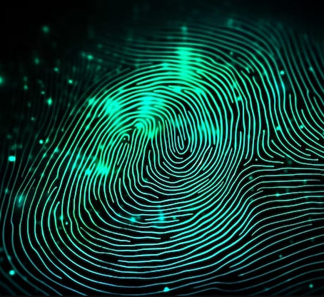 Mathematical Fingerprint