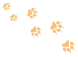 chase-paws-1.png