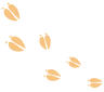 chase-paws-2.png