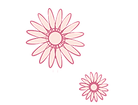 cherry5.png