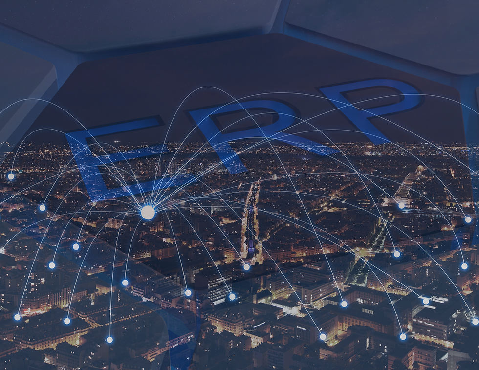 Enhancing Distribution Efficiency with ERP Systems