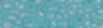 WEPB BG 1 copy_edited.jpg