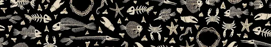 Fish and sea creature skeleton background