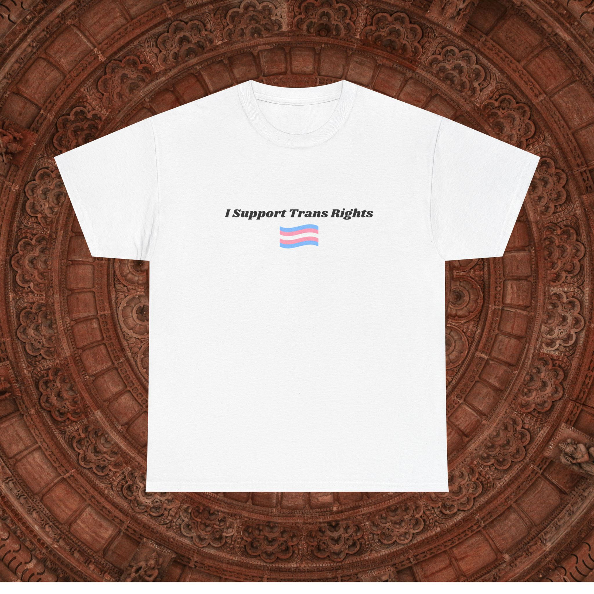 Unisex Heavy Cotton Tee I Support Trans Rights/ LGBTQ+ Pride