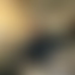 psicologia do trabalho nr-1