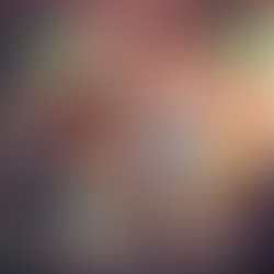 a arte de dizer não