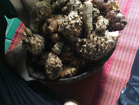 【子宮バランスセラピスト認定講座】
チェンマイリトリート その4・ハーブ編