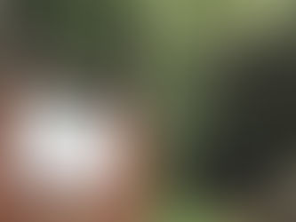 【子宮バランスセラピスト認定講座】
チェンマイリトリート その1・宿泊施設