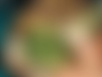 タイ政府観光庁に紹介されました!