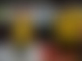 Mit Fragezeichen nach Ludwigsburg