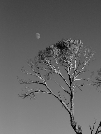 Solitude