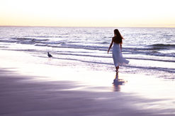 KateImage Alexa2278e.jpg