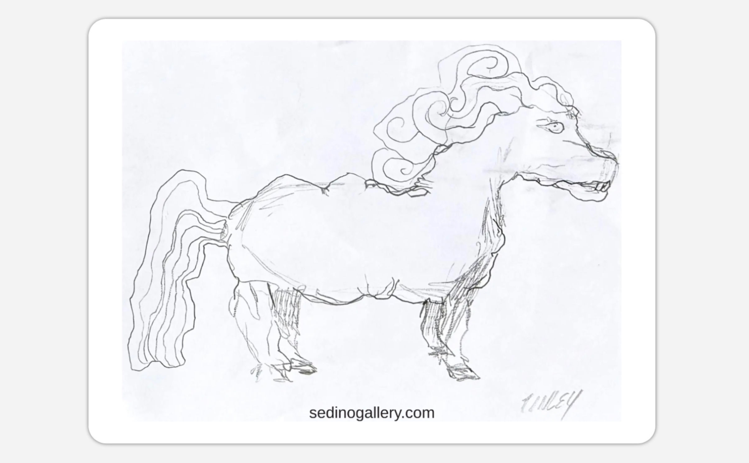 Mini Horse
