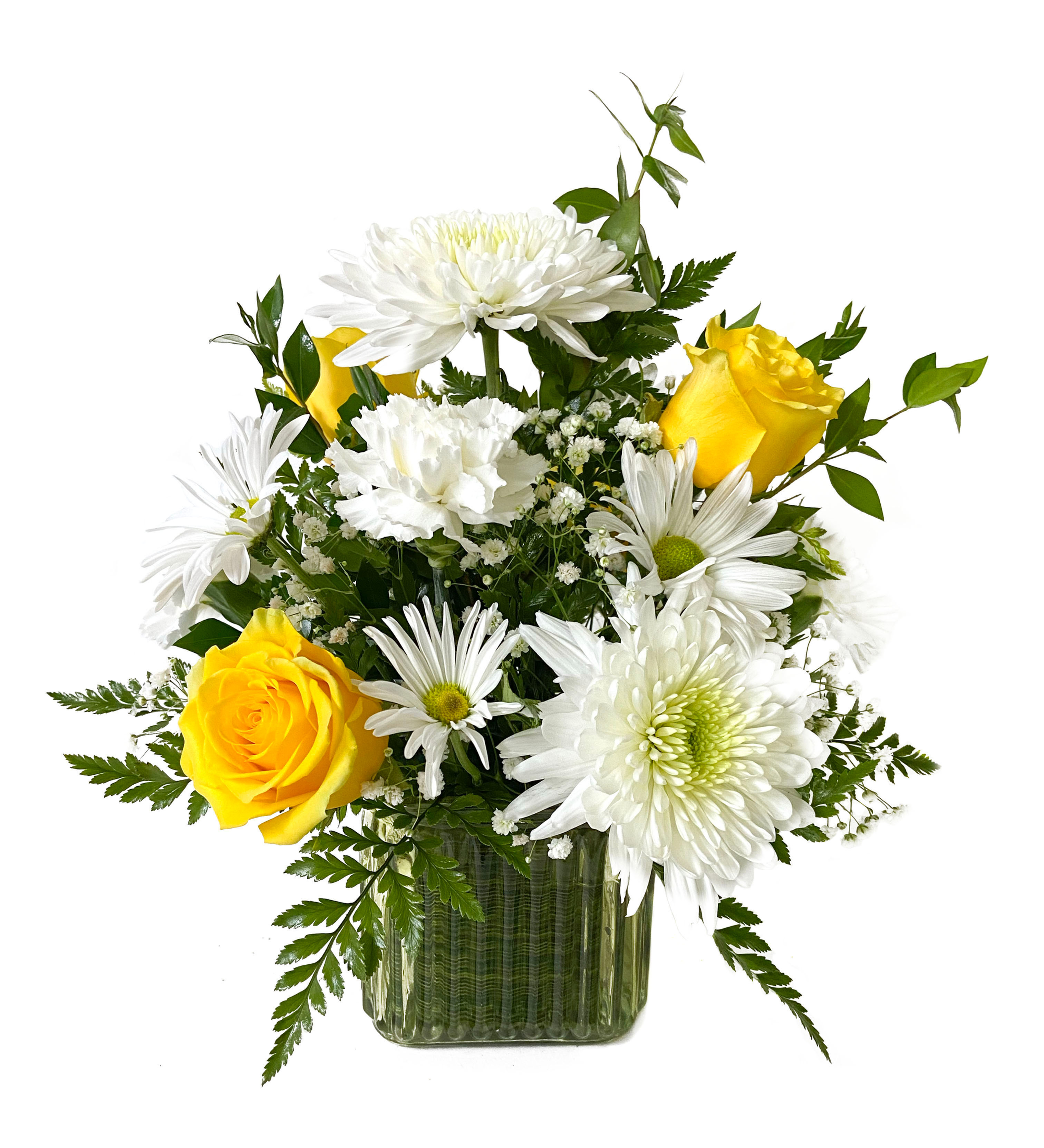 In the Limelight 1103-603