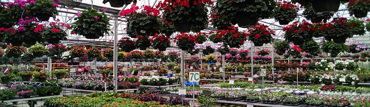 Greenhouse_edited.jpg