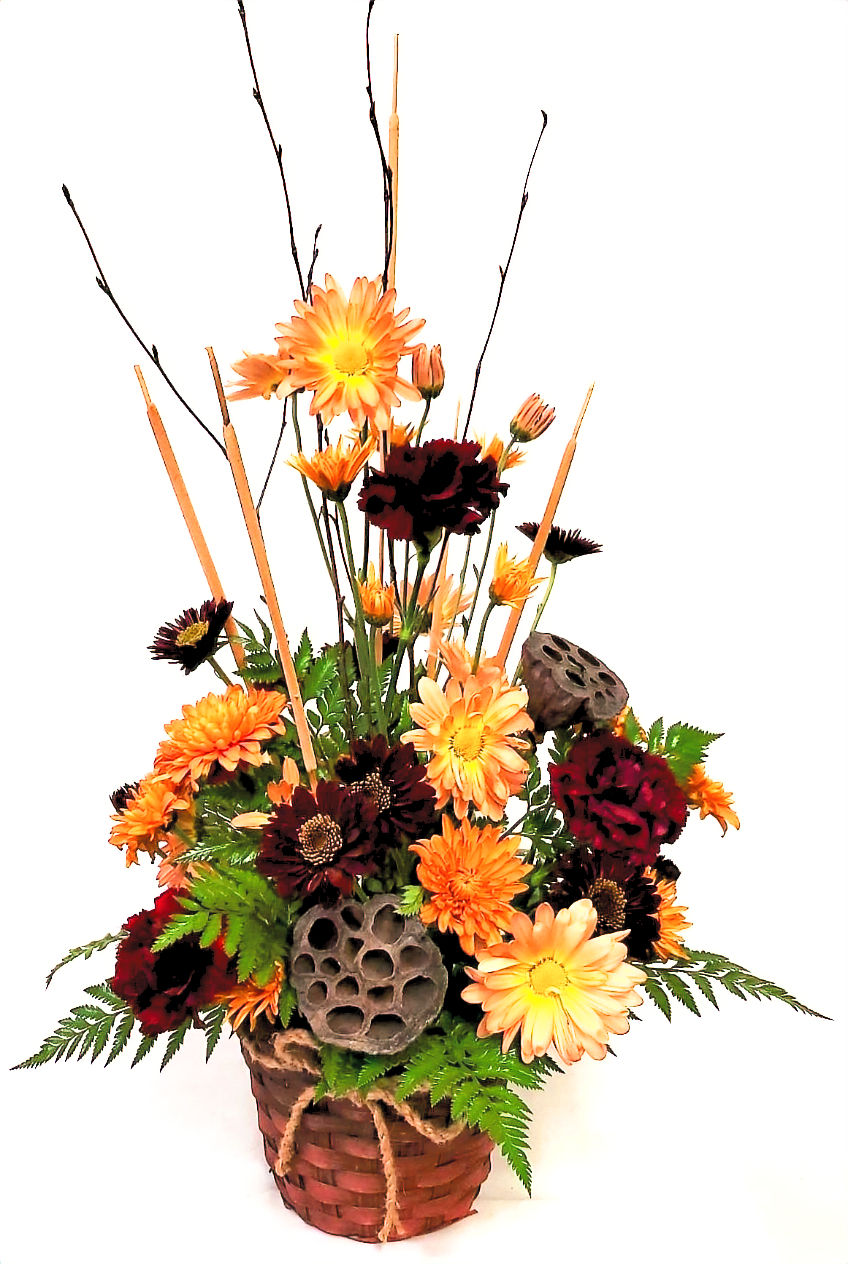 Fall