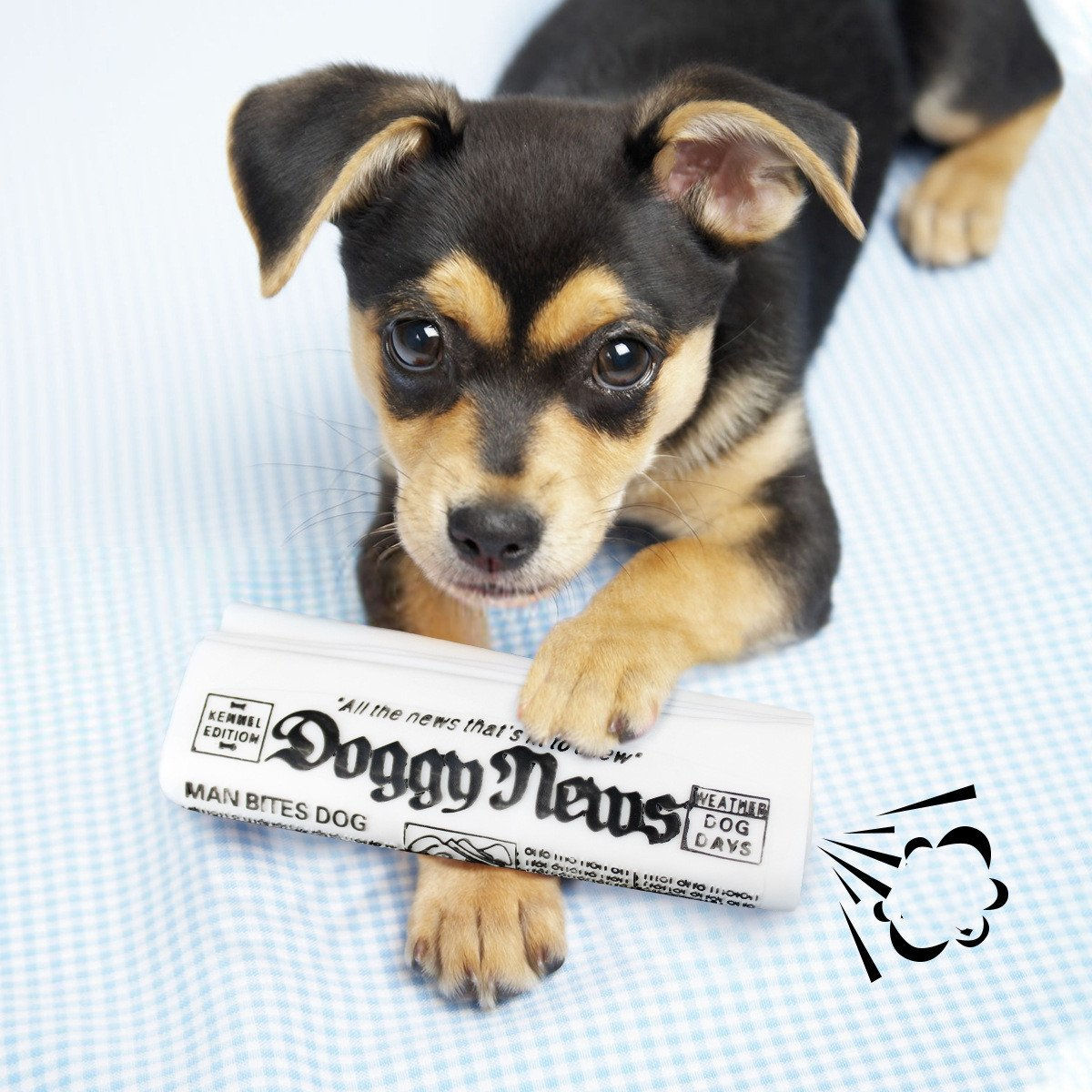 Squeaky Newspaper Dog Chew Toy – 16cm