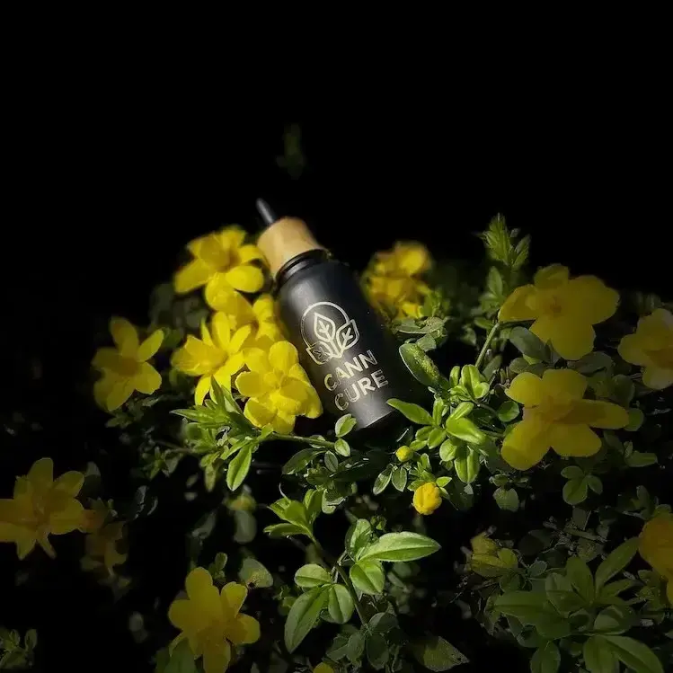 Miniatura: Crema de CBD Uruguay Canncure con cannabis medicinal sin THC, recomendada para aliviar dolor muscular y artrosis naturalmente