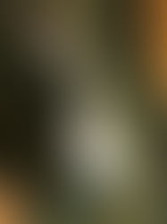 羽織を仕立てる　その２