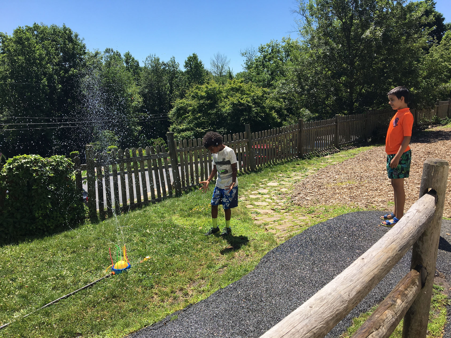 Keeping cool in the sprinkler