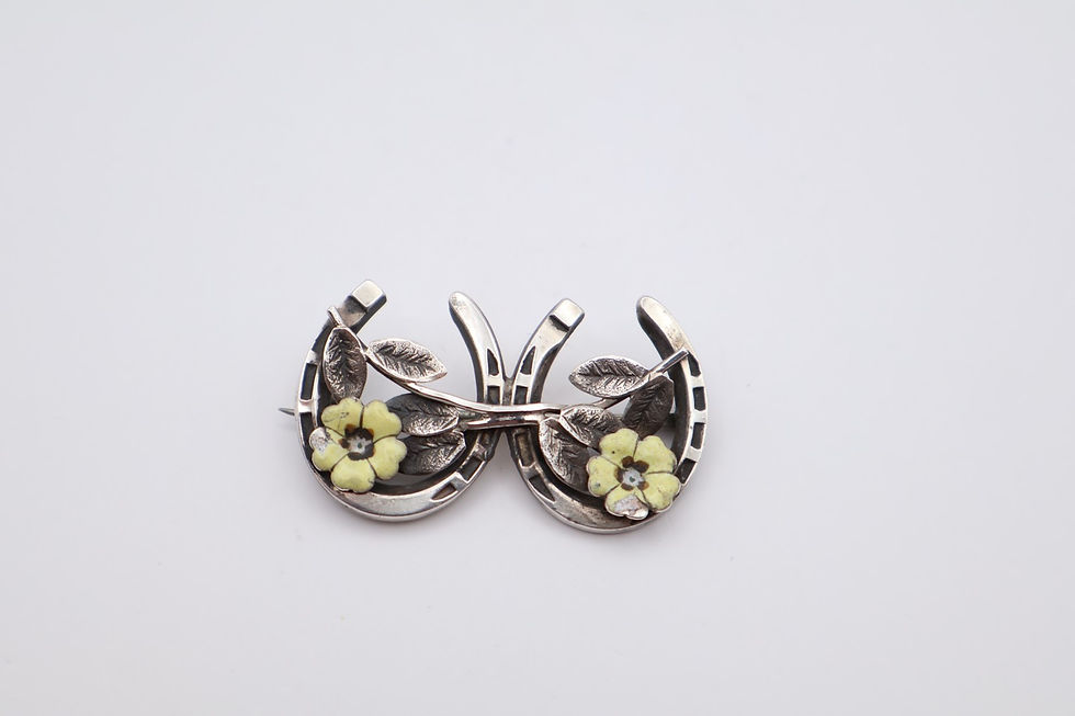 Antique Silver Horseshoe Enamel Brooch