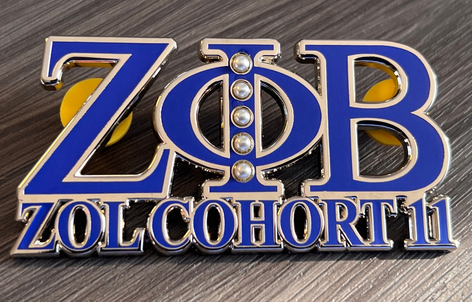 ZOL Cohort 11 Pin 